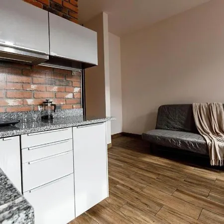 아파트 Golden - Cozy - Great Location&k28 브로츠와프